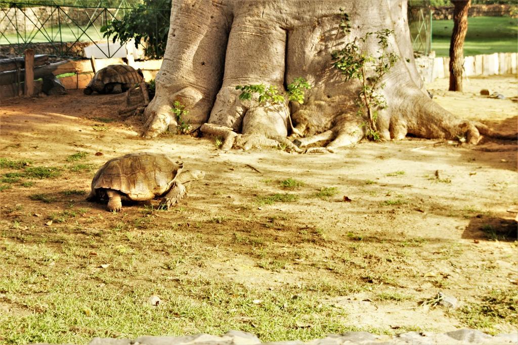 Africa 6 Plage Сомоне Екстер'єр фото